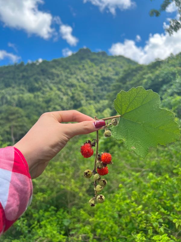 Thám hiểm hang Sơn Đoòng