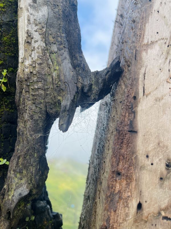 Trekking Lảo Thẩn