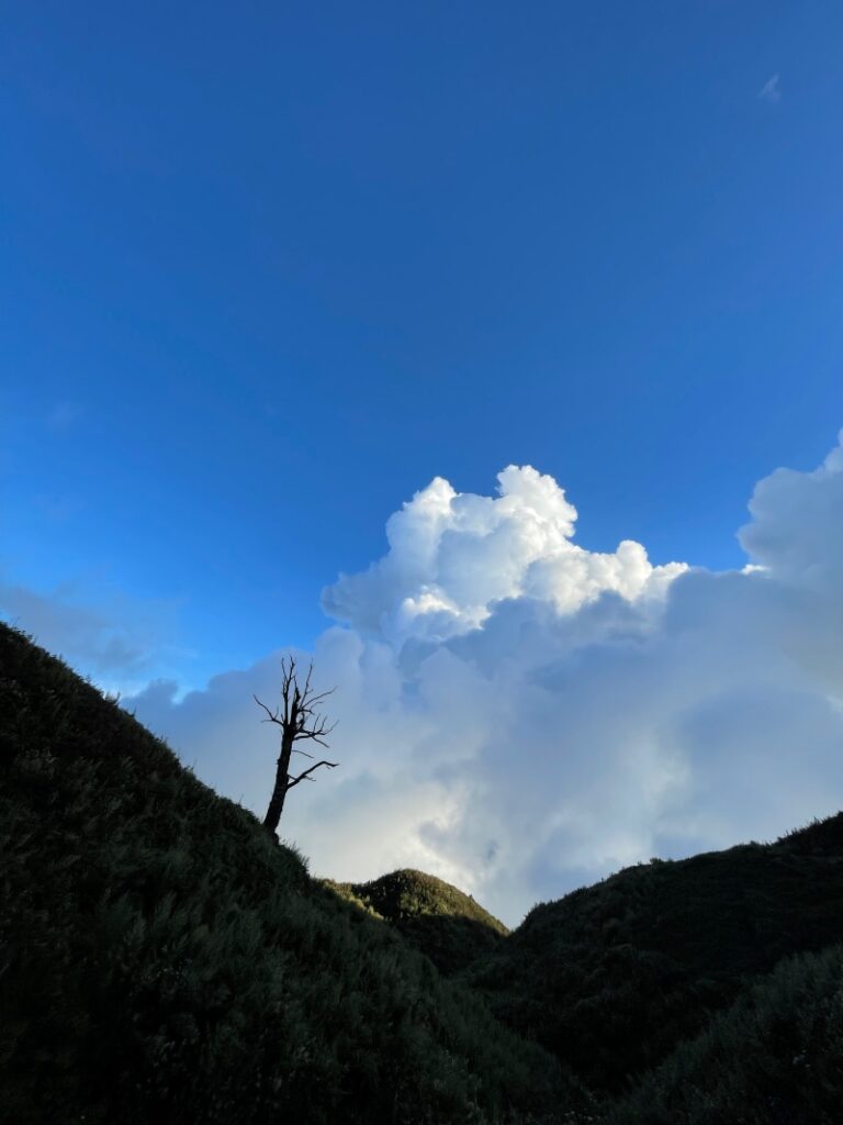 TREKKING Lảo thẩn