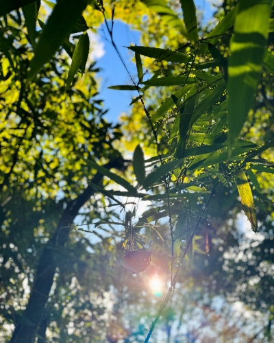 Trekking Pờ Ma Lung Chung Nhía Vũ