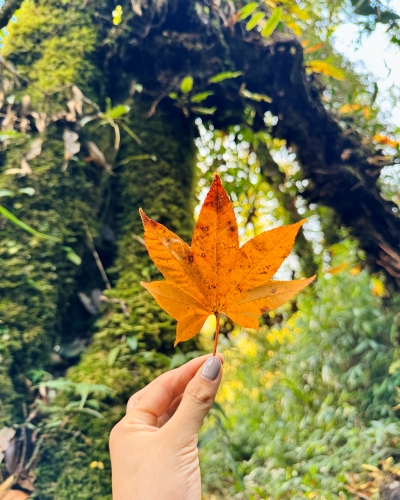 Trekking Pờ Ma Lung Chung Nhía Vũ