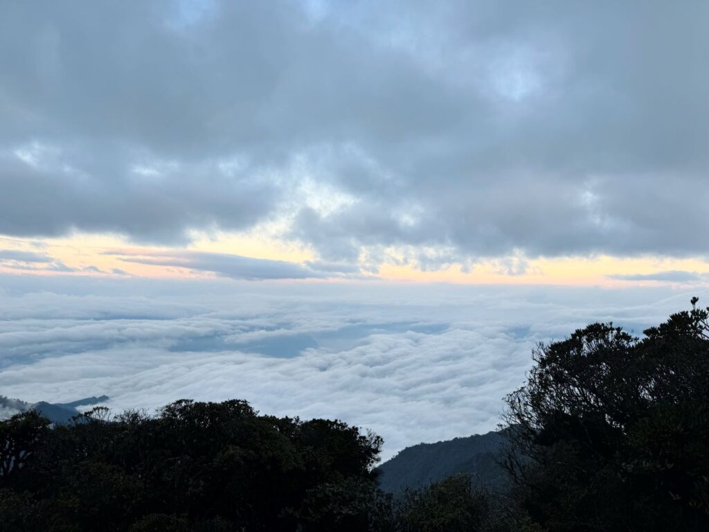 Trekking Combo Tả Liên Sơn Răng Cưa