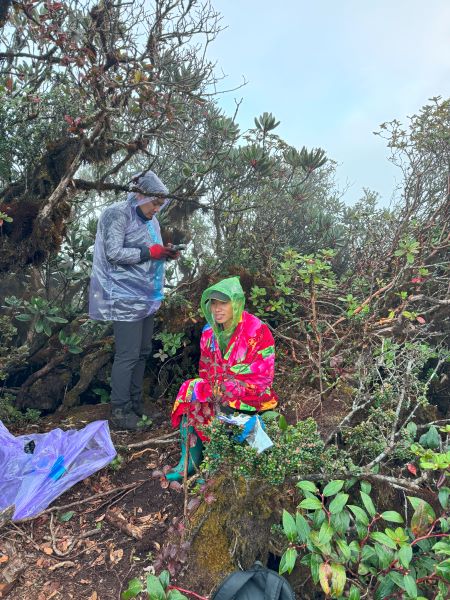 Trekking Combo Tả Liên Sơn Răng Cưa