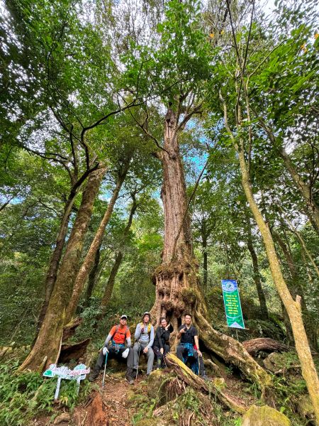 Trekking Combo Tả Liên Sơn Răng Cưa