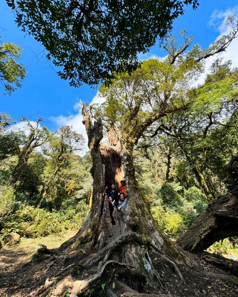 Trekking Combo Tả Liên Sơn Răng Cưa