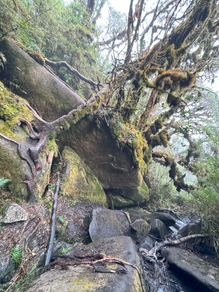 Trekking Combo Tả Liên Sơn Răng Cưa