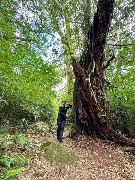 Trekking Combo Tả Liên Sơn Răng Cưa